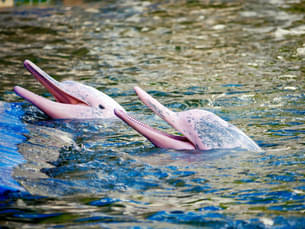 5a1ft4cc34w1biea77x3ekkyuvv8 1564667266 shutterstock 754337617