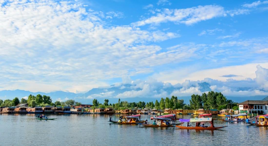 Partake in a traditional Shikara ride in the glistening waters of Dal lake