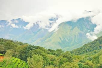 Camping with Trekking and Meals Kurangani Hills