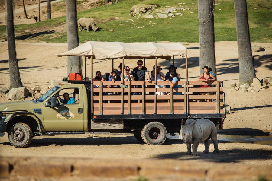 Take on the African Tram Ride to see a variety of African animals