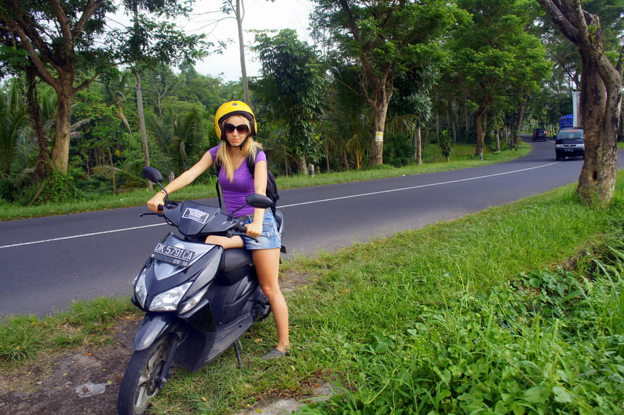 Ubud Bike Rental Image