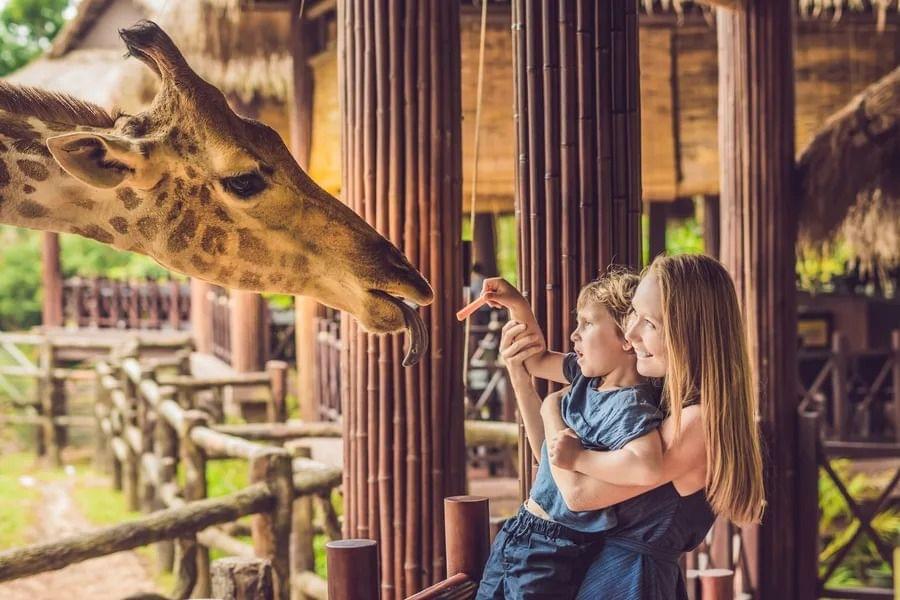 Meet The Exciting Animals At ZSL London Zoo 