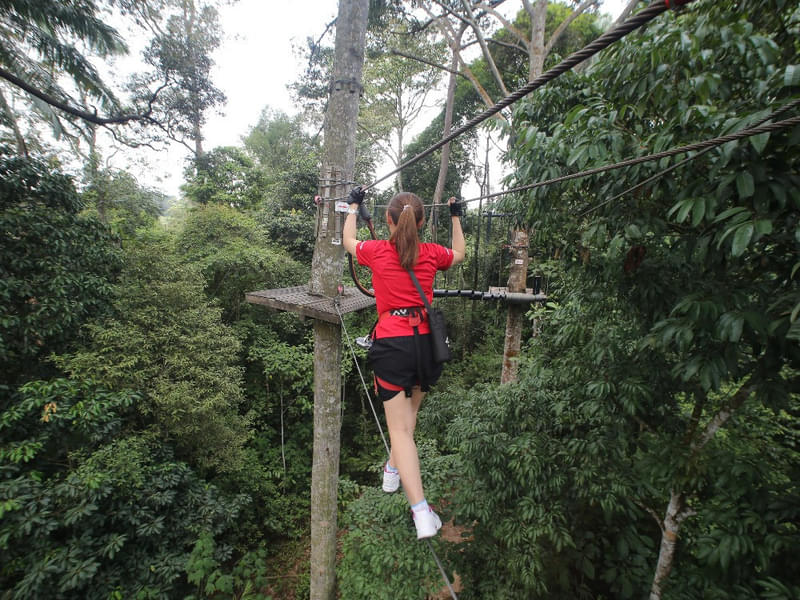 Challenge yourself and test your limits with SKYTREX Adventure's high ropes courses