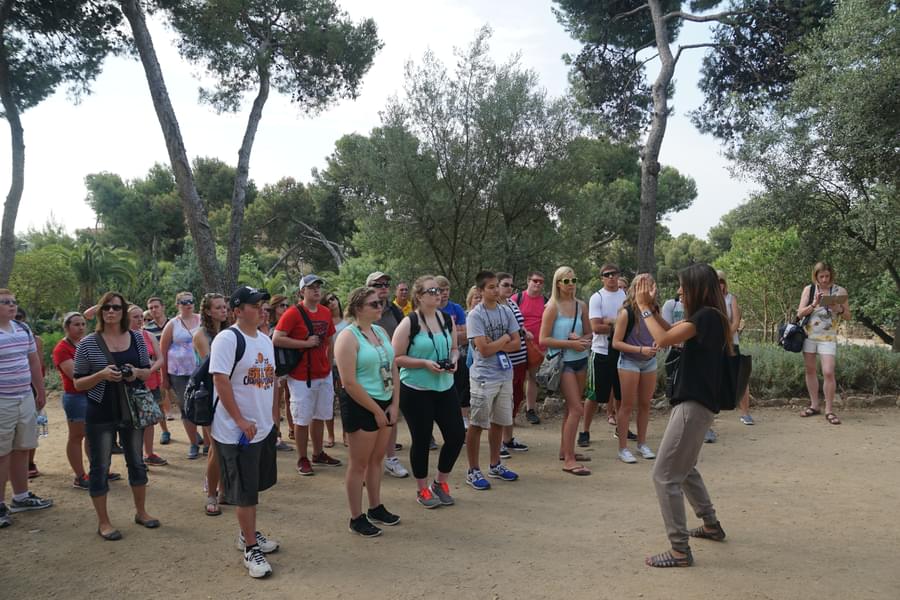 Guided Tour with Skip-the-Line Access to Park Guell