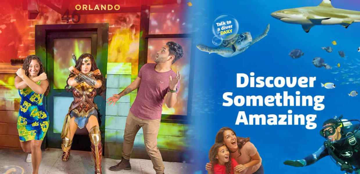 Enjoy the combo tickets to Orlando Madame Tussauds & Sea Life Aquarium 