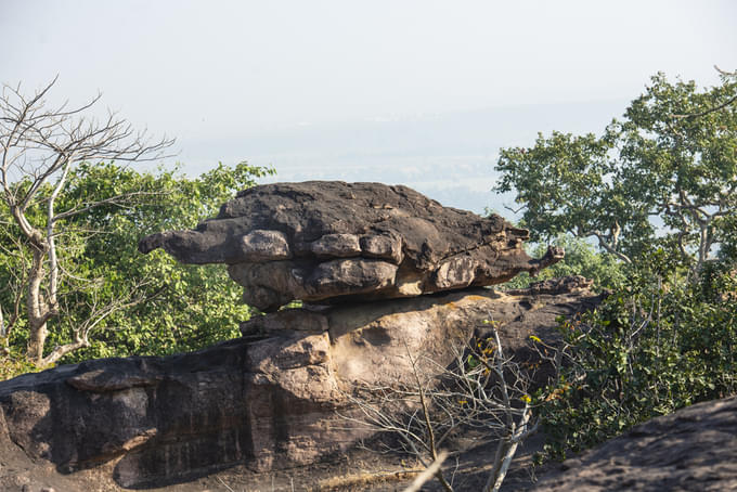Turtle rock