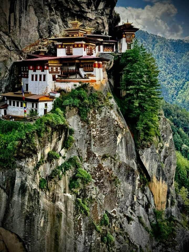Photo from Shuchita DHAWAN's trip