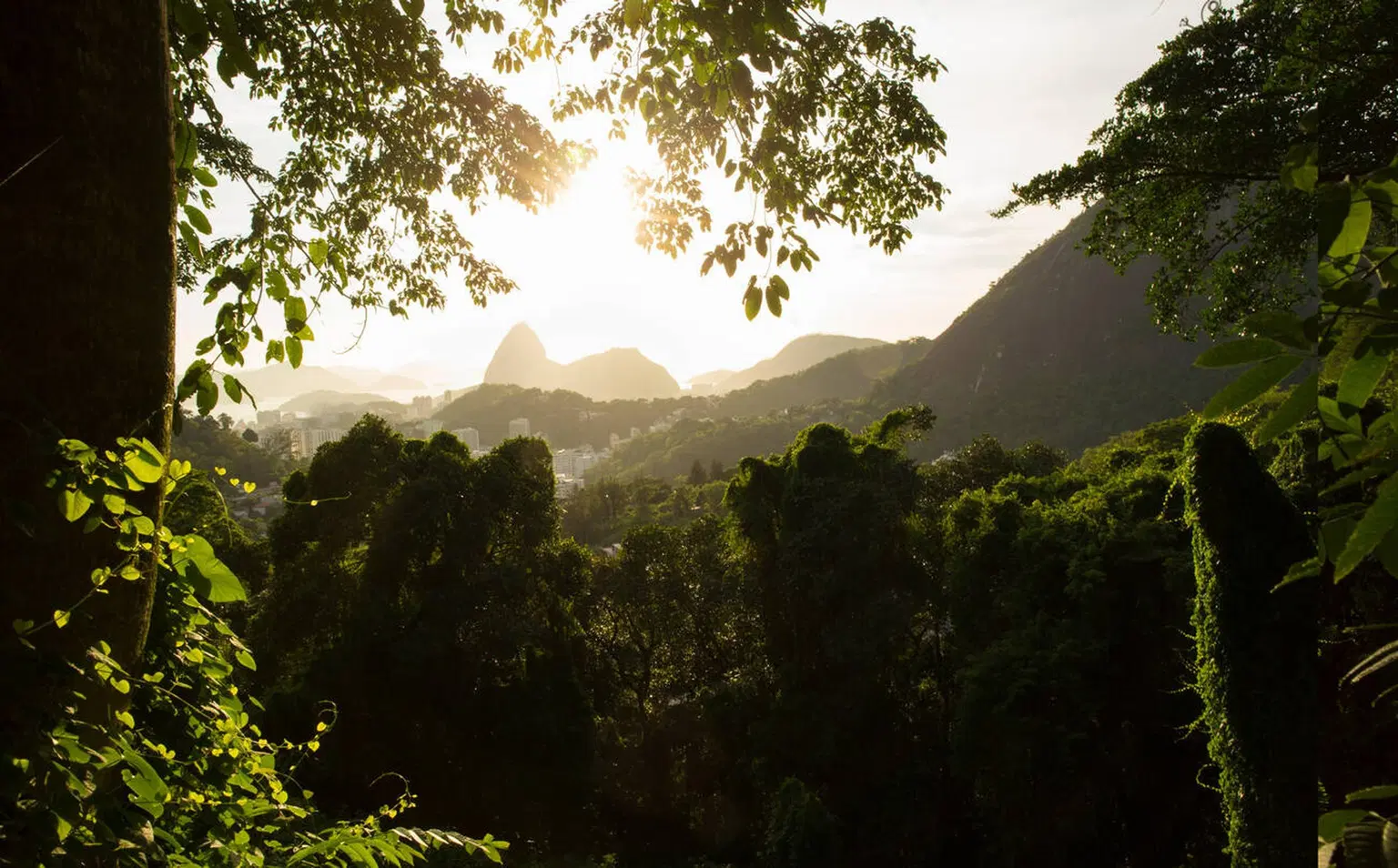 Tijuca National Park, Brazil