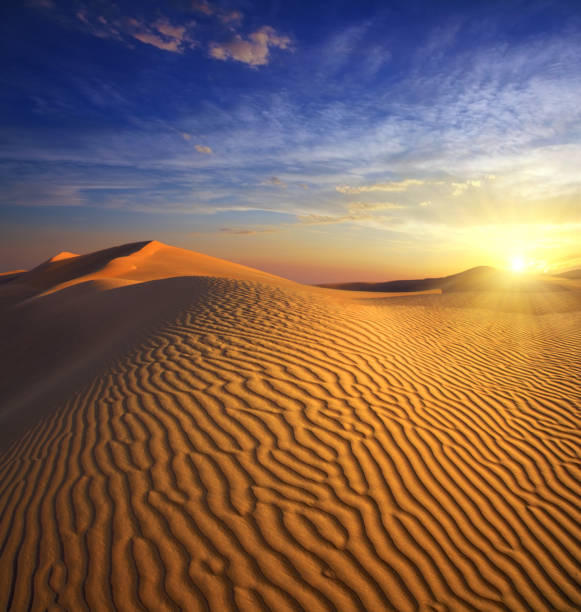 Dubai Desert Safari