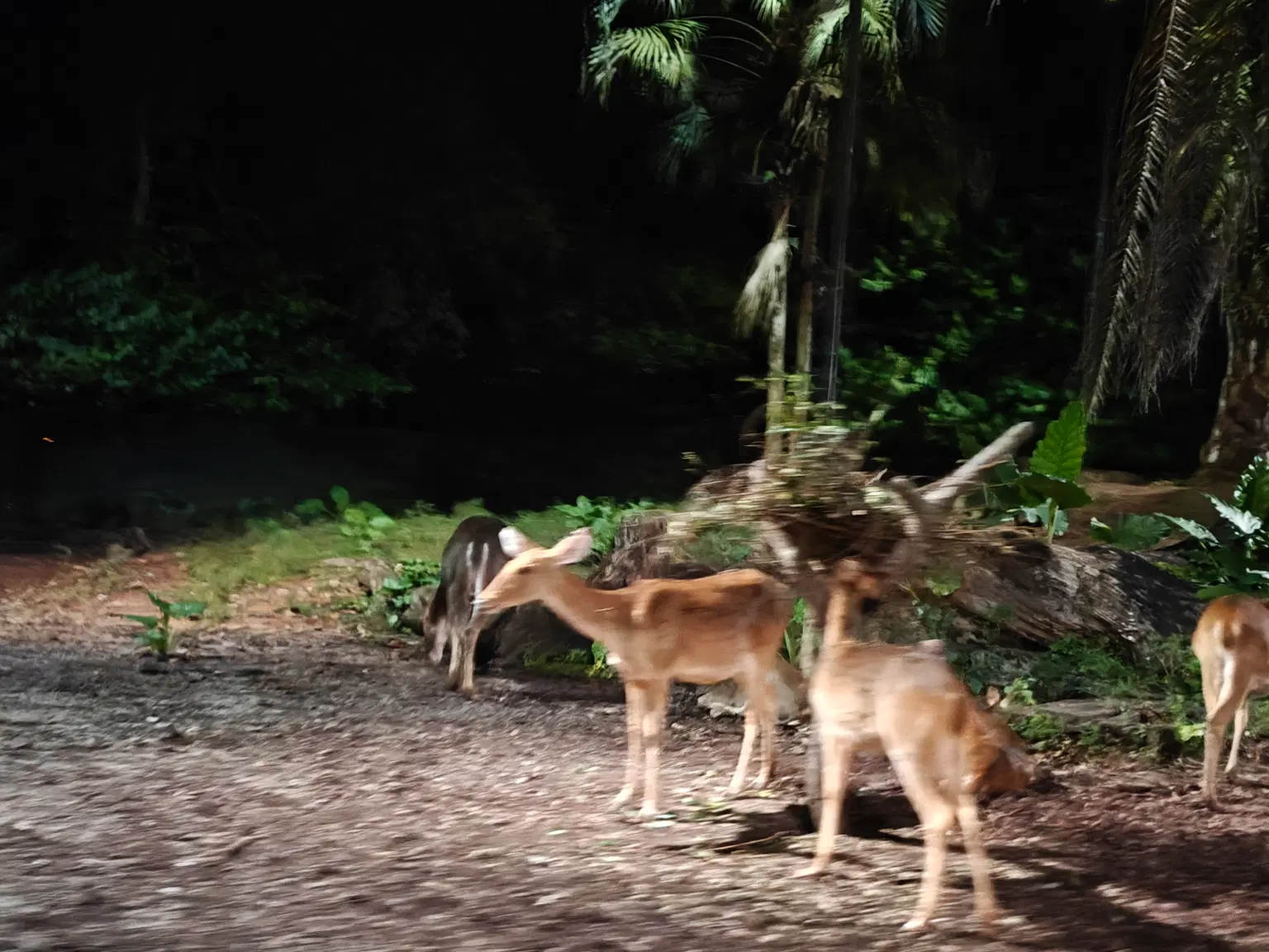 Photo from Vikram Sharma's trip