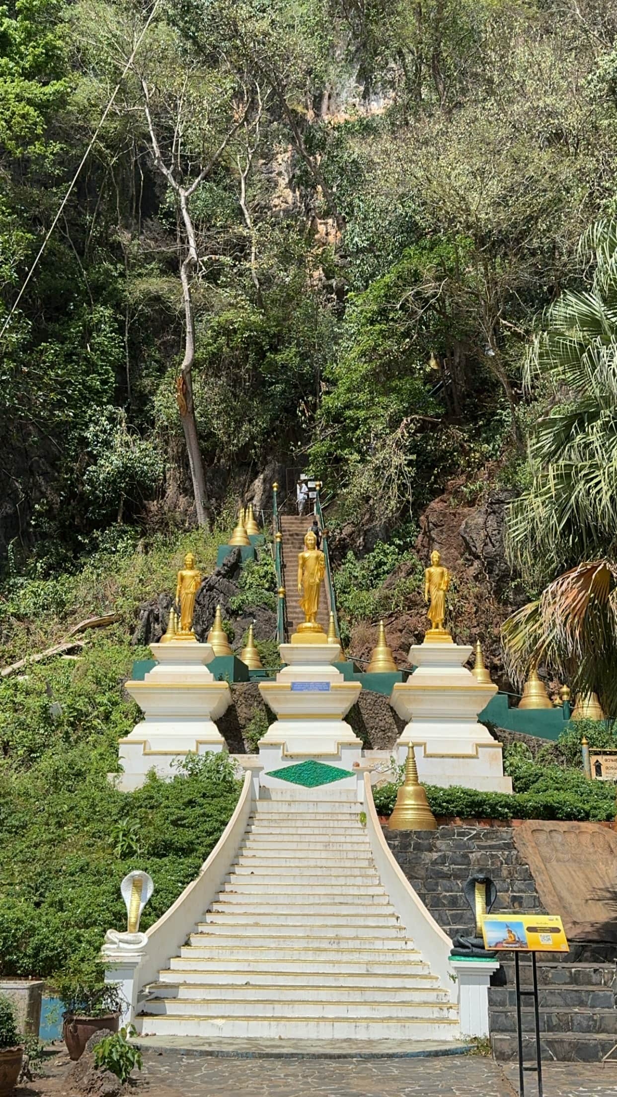 Photo from Aditya  's trip