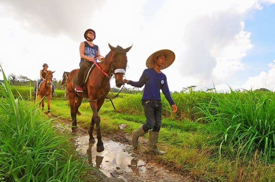 Horse Riding In Bali Image