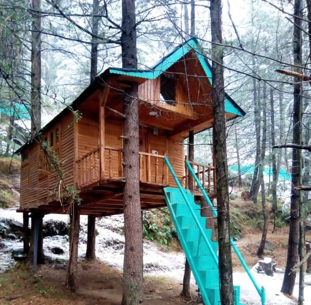 An Adventurous Tree House Near Shimla Image