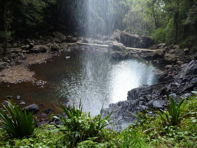 Springbrook National Park Walks