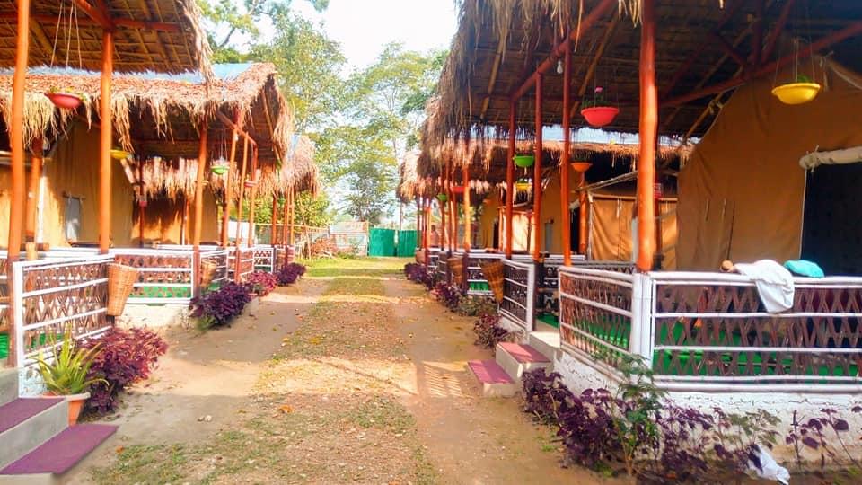 Kaziranga Eco Camp Image