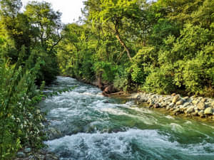 Dachigam National Park