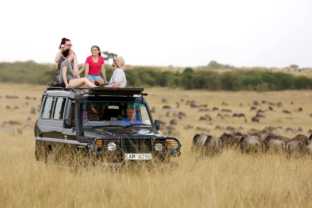 Discover South Africa with Kwantu - Self Drive