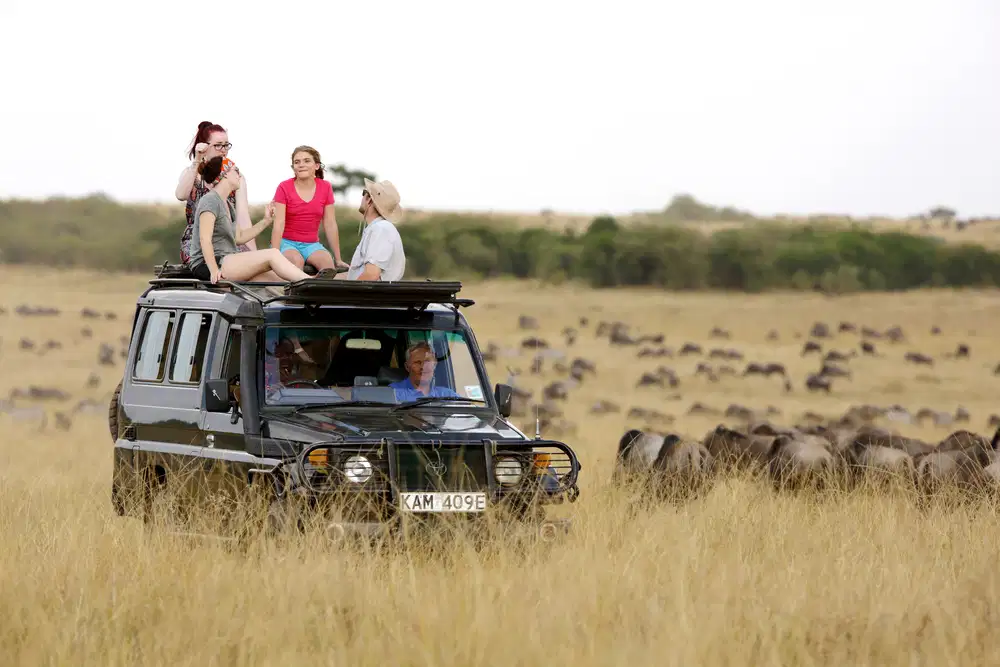 Discover South Africa with Kwantu - Self Drive