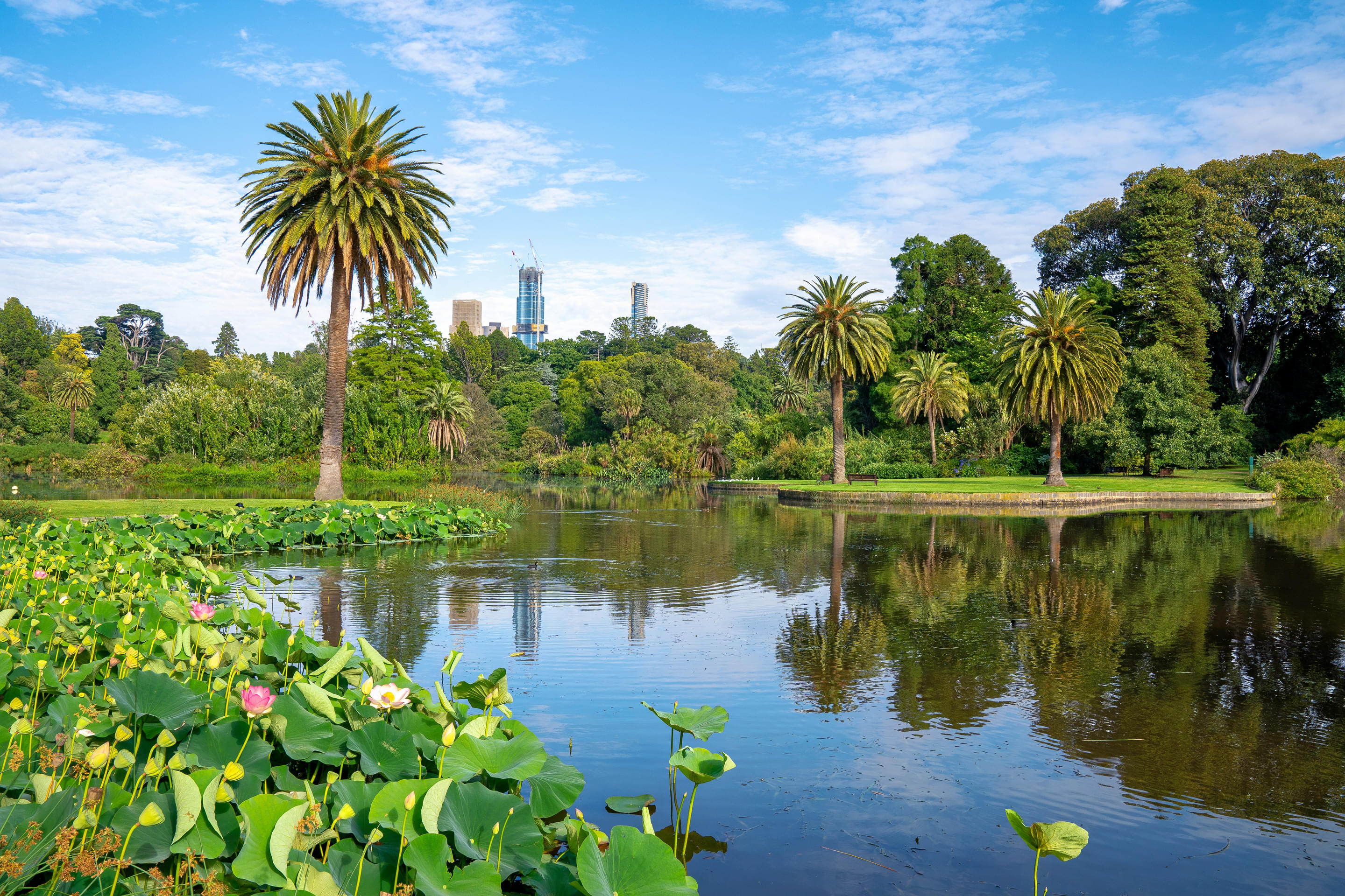 Royal Botanical Gardens Melbourne Overview