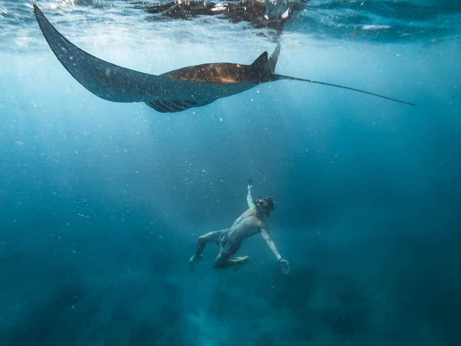 Visit Manta Ray Viewpoint