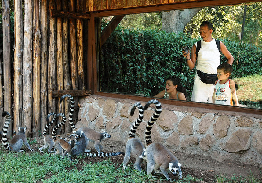 See various wildlife at this amazing zoo
