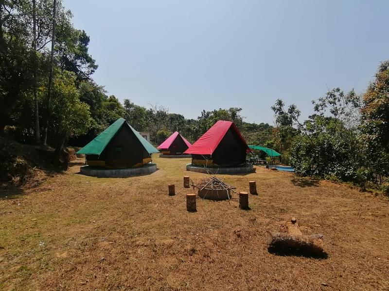 Coorg Camping Experience With Trekking Image