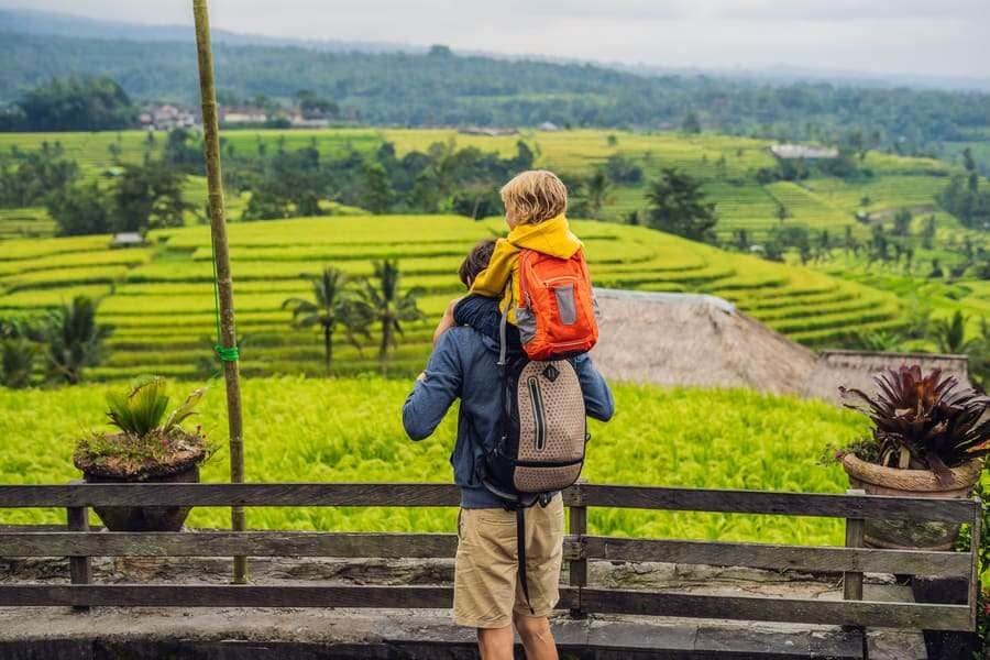 Tegalalang Rice Terrace