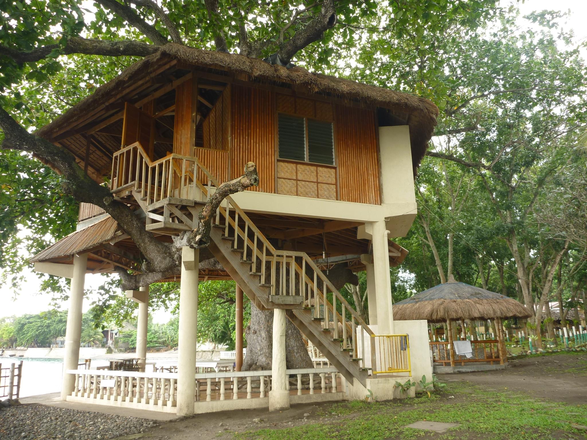 Tree House Stay