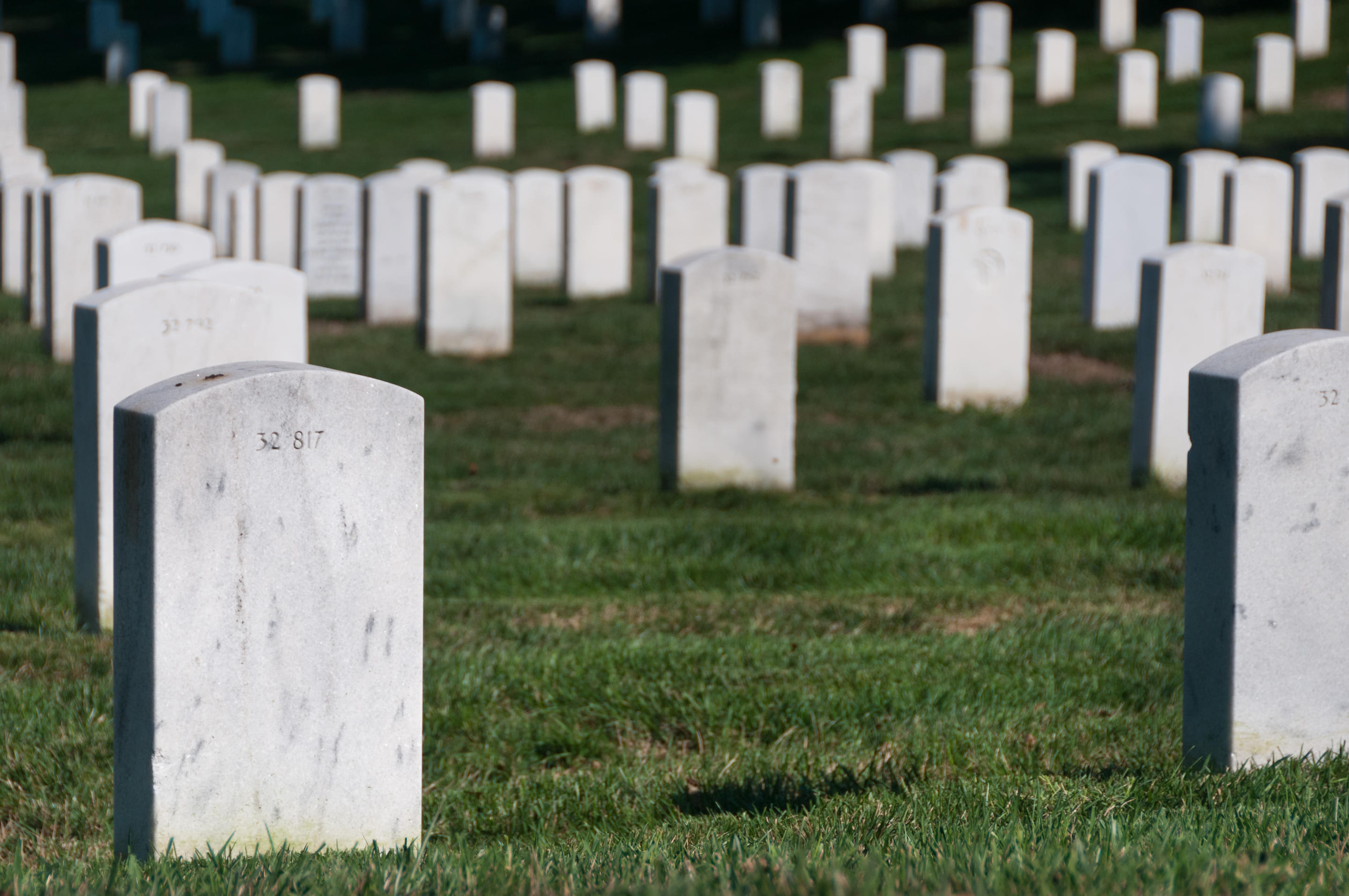 United Nations Memorial Cemetery Overview