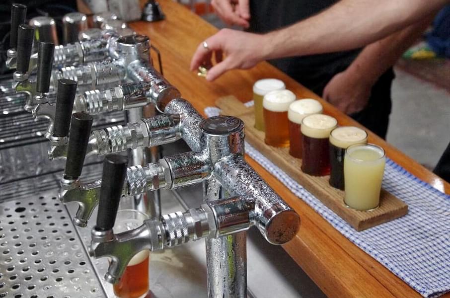 Three-Hour Craft Beer and Breweries Tour Image