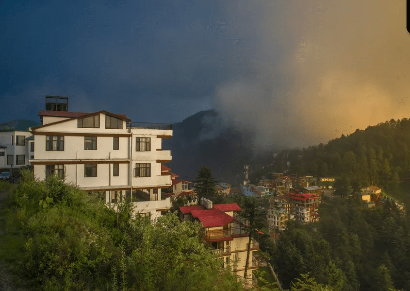A Serene Homestay Amidst Pine Trees in Shimla Image
