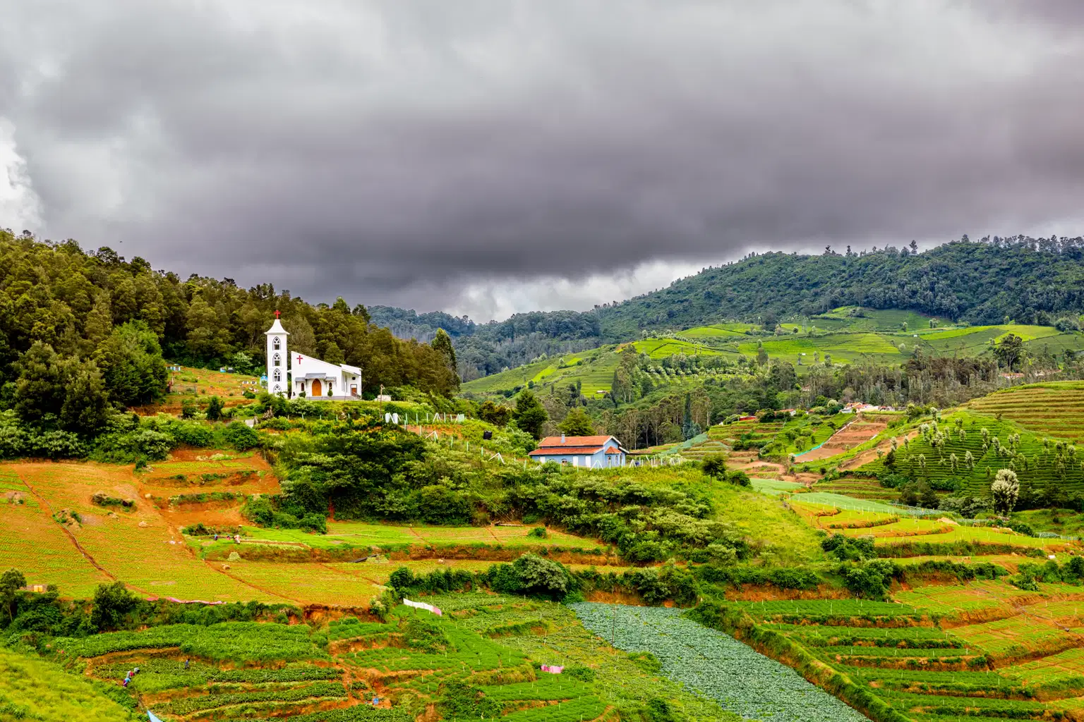 Glimpse of Tamil Nadu | Serene Journey Amidst Nilgiri Hills