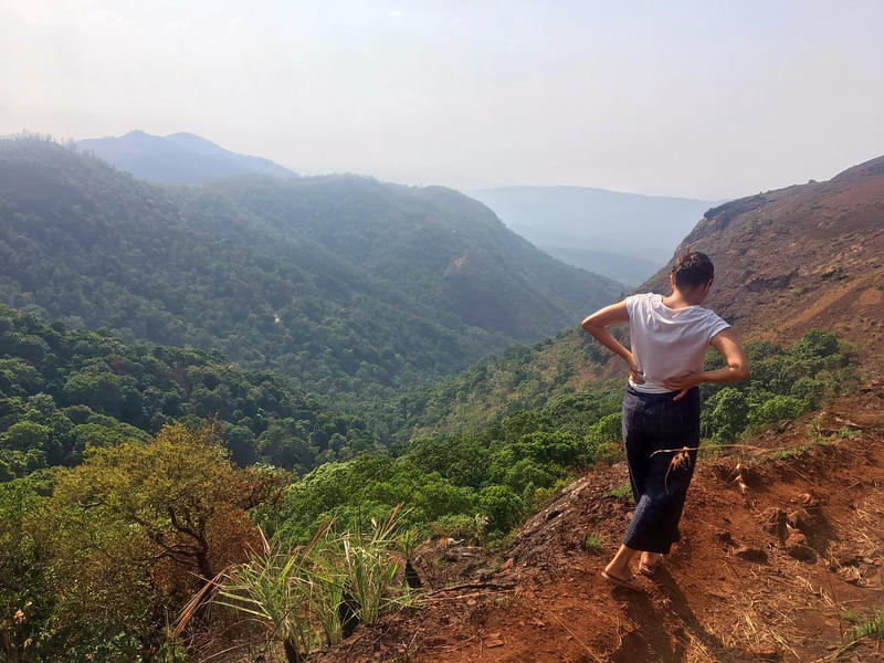 Kemmangundi Trek Image