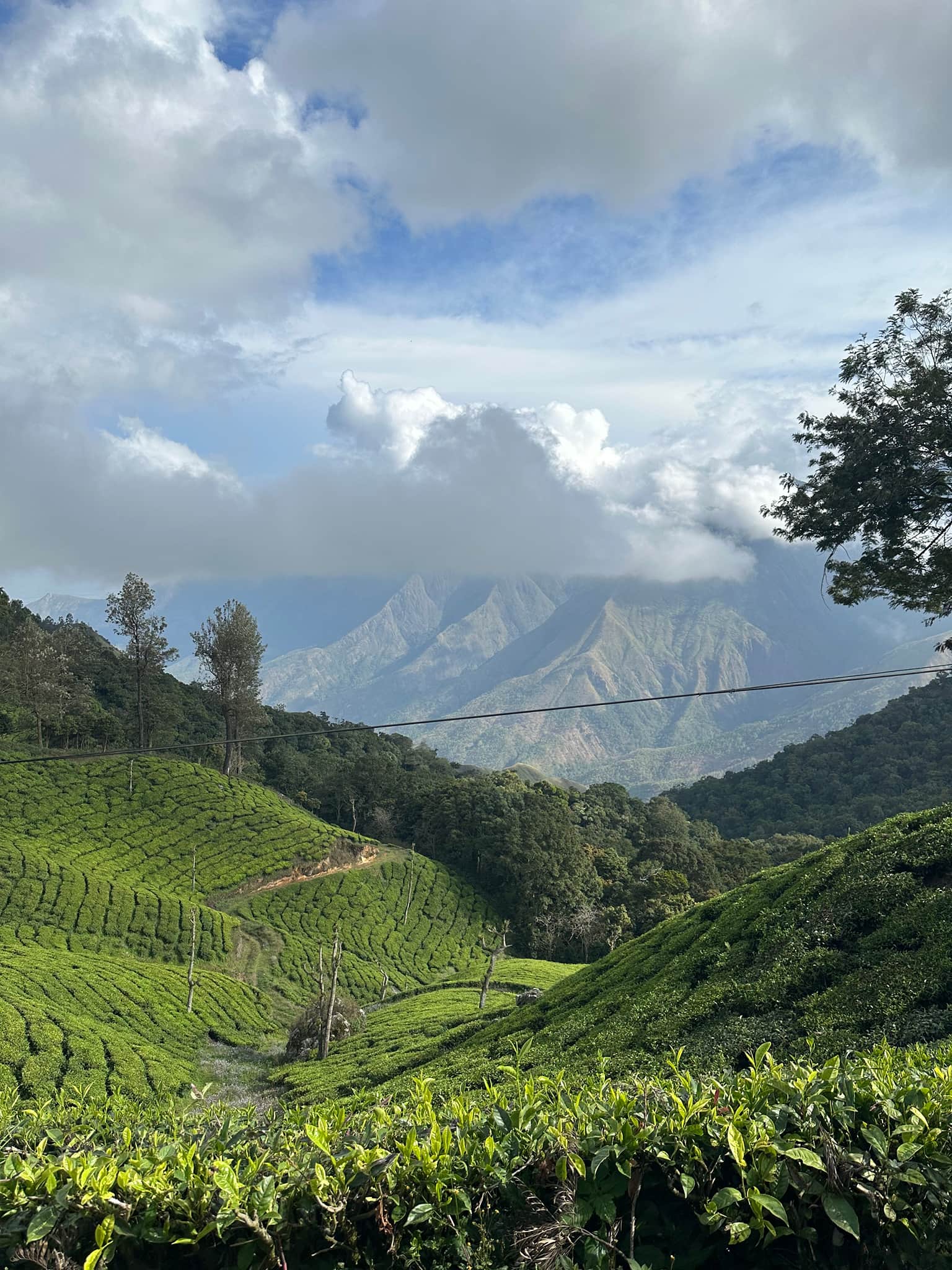 Photo from SUDHA RANI's trip