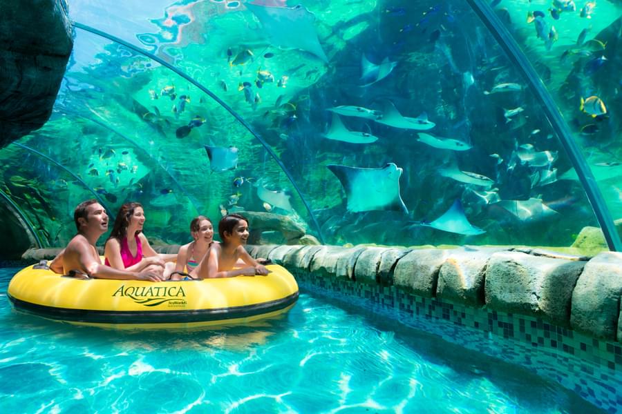 Enjoy a relaxing float along the lazy river