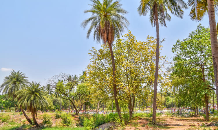 Indira Park 