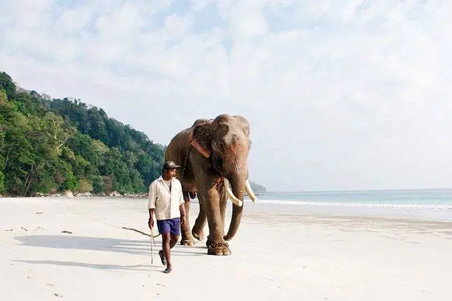 Photo from Gita Agarwal's trip