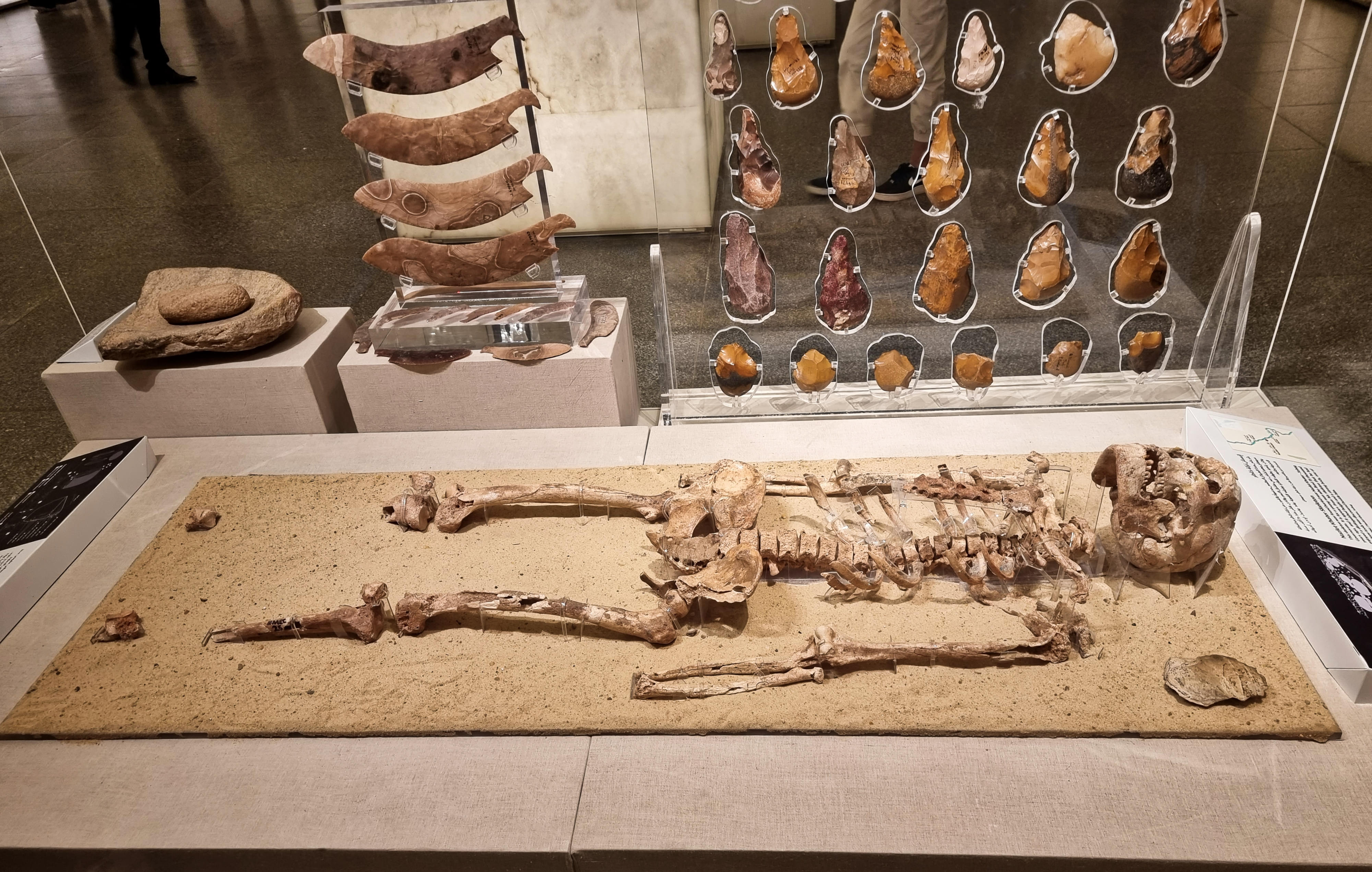 See the Nazlet Khater Skeleton