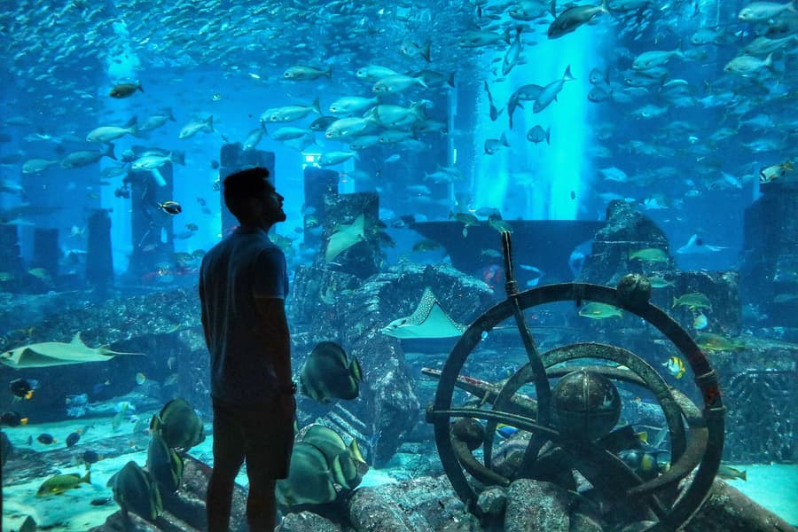 Lost World Aquarium Tickets Image