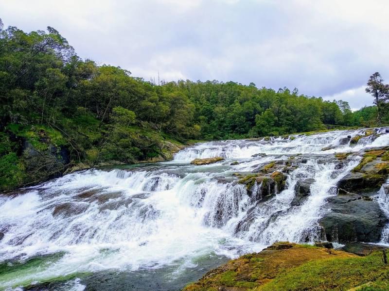 Bangalore to Ooty Group Tour Package Image