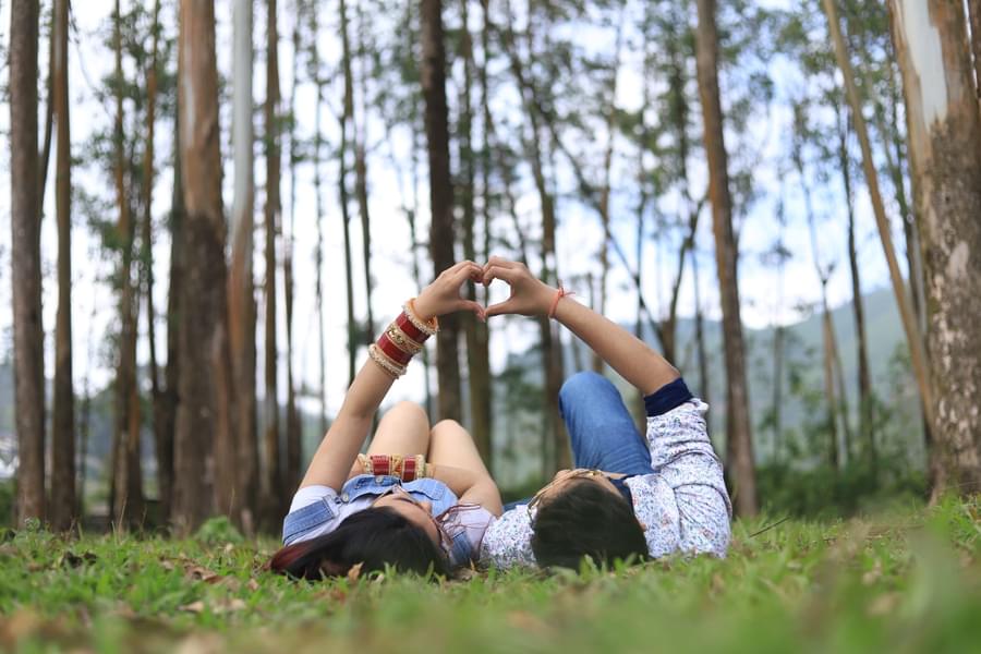 Couple Photoshoot in Munnar Image