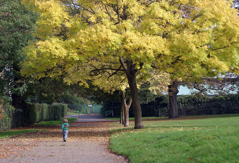 Westow Park