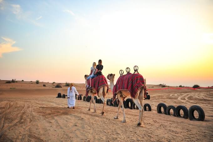 camel ride dubai