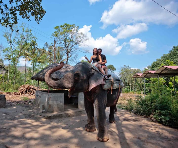 Elephant Junction Activities Package Image