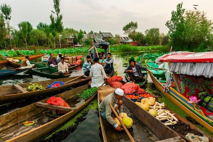 Indulge in Local Delicacies