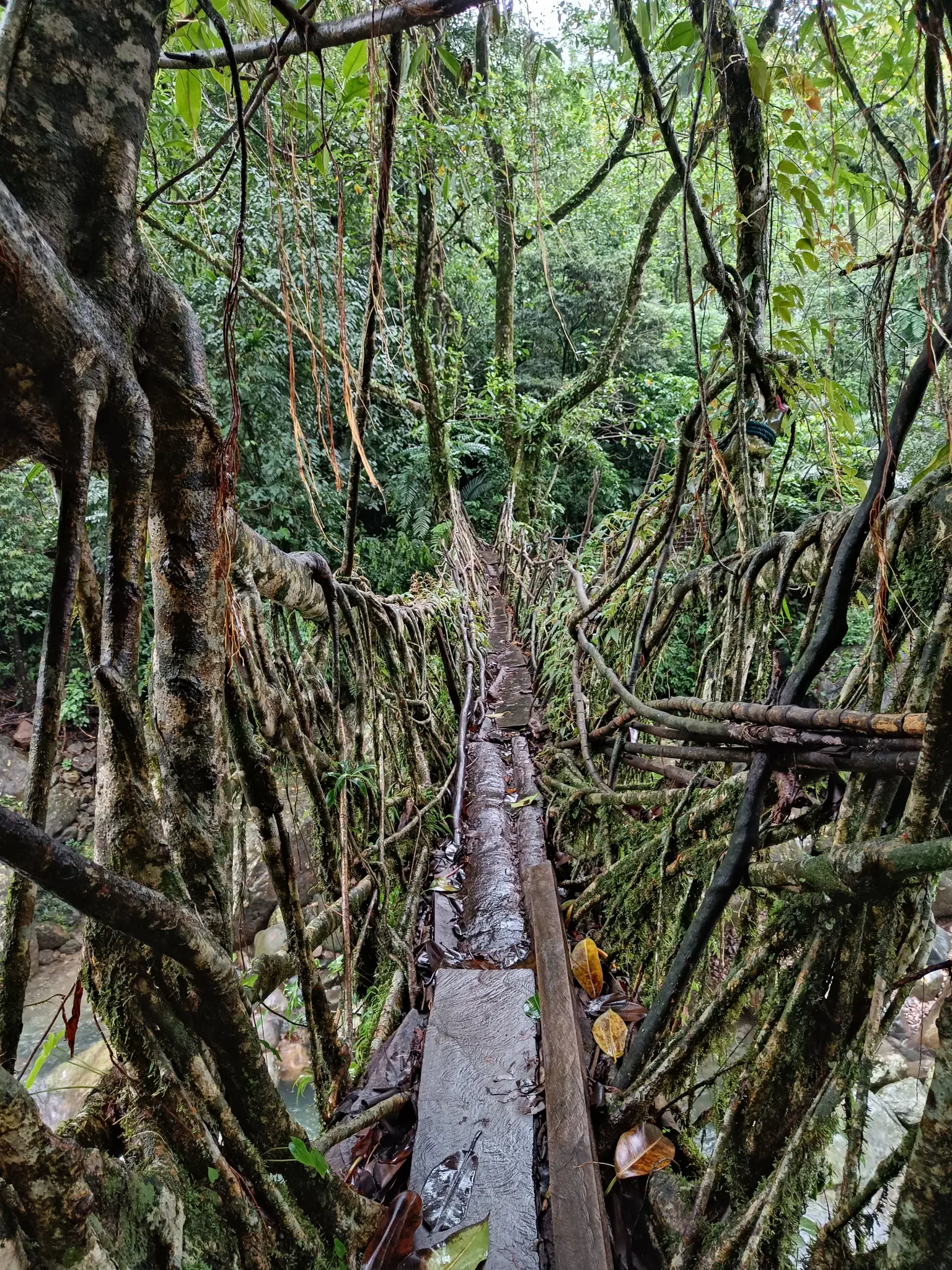 Photo from Tejeswi Johar's trip