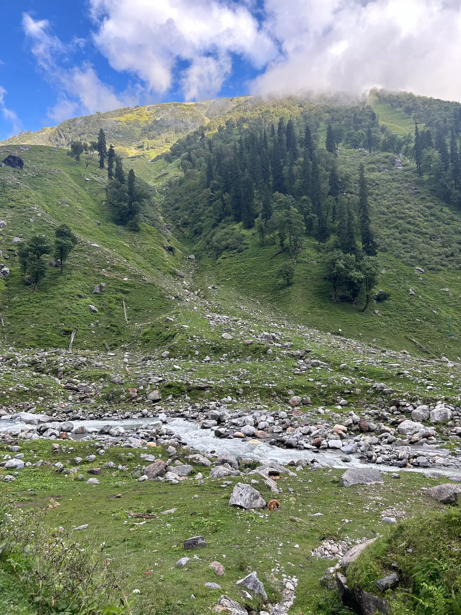 Photo from Pooja Kale's trip