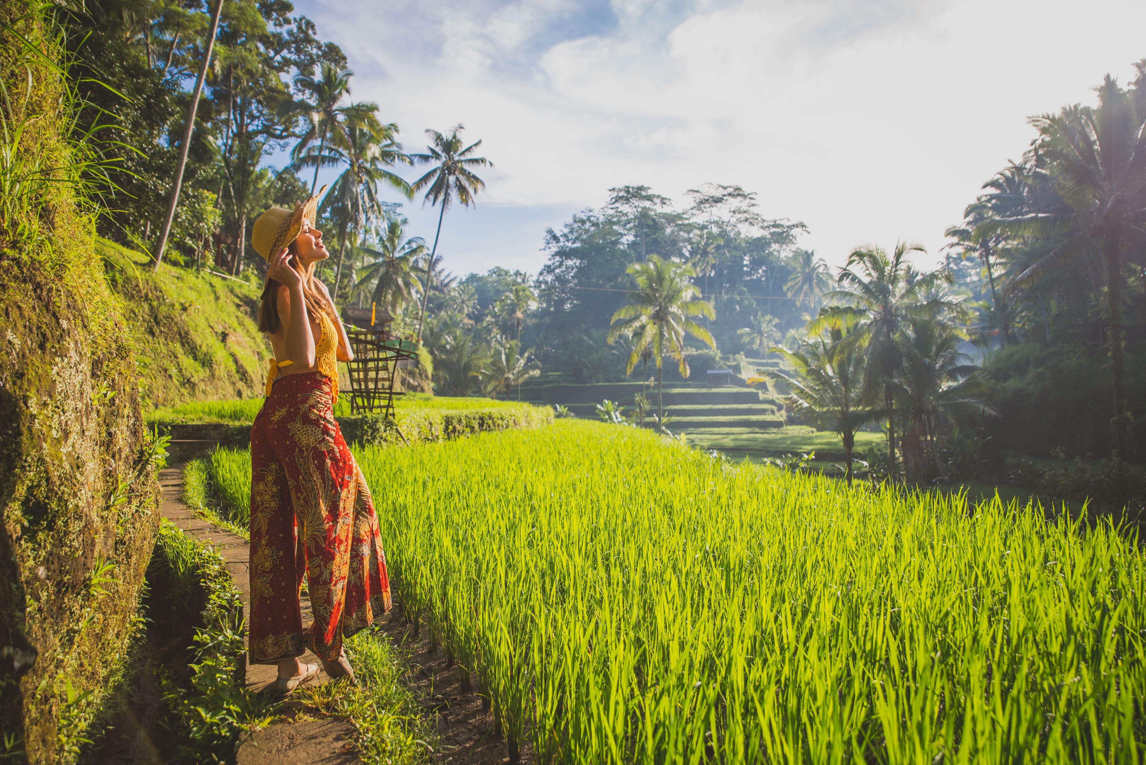 Tegalalang Rice Terrace