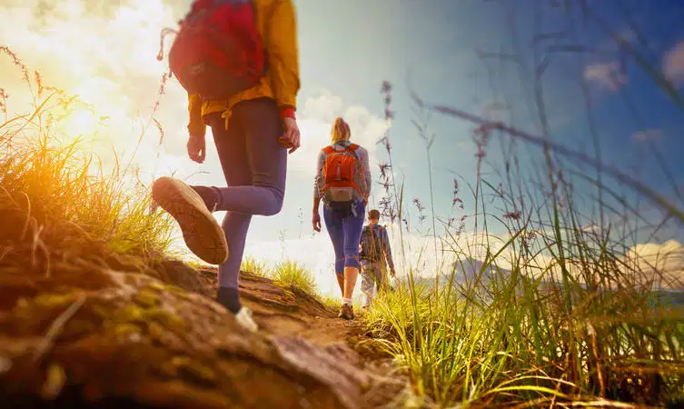 Mullayanagiri Trek, Chikmagalur With Transfers Included