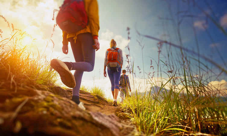 Mullayanagiri Trek, Chikmagalur With Transfers Included